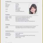 Antichronologischer Lebenslauf Vorlage Wunderbar 7 Chronologischer Lebenslauf Muster