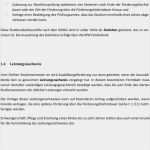 Antrag Auf Verschiebung Des Leistungsnachweises Bafög Vorlage Erstaunlich Herausgeber Familienservice Der Universität Erlangen