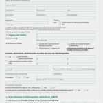 Antrag Auf Verspätete Vorlage Des Leistungsnachweis Bafög Fabelhaft Ich Beantrage Kranken Und Pflegeversicherung Bei Der