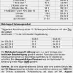 Antrag Auf Verspätete Vorlage Des Leistungsnachweis Bafög Großartig Infoheft Für Menschen Mit Geringem Einkommen Im Raum Aalen