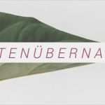 Antrag Kostenerstattung Psychotherapie Vorlage Bewundernswert Kostenübernahme