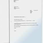 Antrag Mutterschaftsgeld Tk Vorlage Fabelhaft Antrag Auf Namensänderung Vorlage Muster – Vorlagen 1001