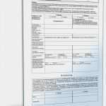 Antrag Teilerlass Bafög Vorlage Beste Beliebte Downloads • Anträge Dokumente &amp; Vorlagen