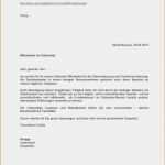 Anzeigentext Stellengesuch Vorlage Großartig Motivationsschreiben Fsj Kindergarten Design 55 Elegant