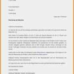 Anzeigentext Stellengesuch Vorlage Neu Motivationsschreiben Fsj Kindergarten Design 55 Elegant