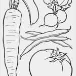 Anziehpuppe Vorlage Luxus Dibujos De Alimentos Para Colorear Saludables Nutritivos