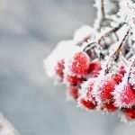 Apple Motion Vorlagen Großartig Entfalte Dich Mit Der Perfekten Bildauswahl – Adobe Stock