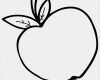 Apple Pages Vorlagen Erstaunlich Ausmalbilder Apfel Ausmalbildkostenlos
