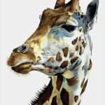 Applikationen Tiere Vorlagen Süß 128 Besten Afrika Tiere Applikationen Patches Sicken Nähen