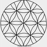 Aquabeads Motiv Vorlagen Zum Ausdrucken Best Of Blume Des Lebens Ausdrucken