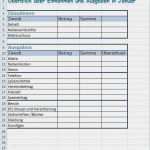 Arbeitgeber Schwangerschaft Mitteilen Vorlage Beste Monatliche Ausgaben Tabelle Vorlage Gut Haushaltsbuch