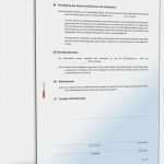 Arbeitgeberdarlehen Vorlage Genial Arbeitgeberdarlehensvertrag Mit Schuldanerkenntnis