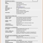 Arbeitsagentur Lebenslauf Vorlage Genial formular Lebenslauf Special Wallpapers