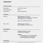 Arbeitsagentur Lebenslauf Vorlage Inspiration Arbeitsamt Bewerbung