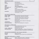 Arbeitsagentur Lebenslauf Vorlage Inspiration Hervorragend Bewerbung Schreiben Lassen Arbeitsamt