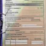 Arbeitsagentur Lebenslauf Vorlage Luxus 11 Arbeitsagentur Lebenslauf Vorlagen123 Vorlagen123