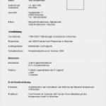 Arbeitsagentur Lebenslauf Vorlage Schön Ausgezeichnet Arbeitsagentur Vorlagen Für Bewerbungen