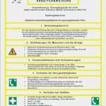 Arbeitsanweisung Vorlage Doc Cool Großartig Betriebsanweisungen Vorlage Galerie