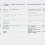 Arbeitsanweisung Vorlage Excel Angenehm 14 Putzplan Single