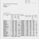 Arbeitsanweisung Vorlage Excel Hübsch Nebenkostenabrechnung Nach Qm Muster