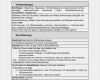 Arbeitsanweisung Vorlage Excel Schön Beste Arbeitsanweisung Vorlage Ideen Entry Level Resume