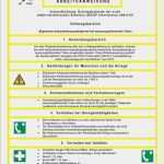 Arbeitsanweisung Vorlage Kostenlos Word Einzigartig Arbeits Und Betriebsanweisungen Für Elektrofachkraft