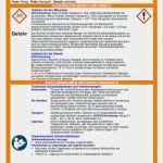 Arbeitsanweisung Vorlage Kostenlos Word Erstaunlich Muster Betriebsanweisungen Plus