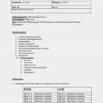 Arbeitsanweisung Vorlage Kostenlos Word Luxus Charmant Arbeitsanweisung Vorlage Ideen Entry Level