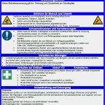 Arbeitsanweisung Vorlage Kostenlos Word Schönste Schön Arbeitsanweisung Vorlage Galerie Beispiel