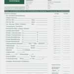 Arbeitsauftrag Kfz Vorlage Bewundernswert formular Arbeitsauftrag Auftragsformulare Mit Durchschlag