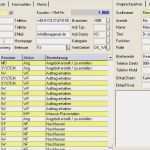 Arbeitsbericht Vorlage Excel Angenehm Crm Workshop Kapitel 6 Aktivitäten Und Zeitmanagement