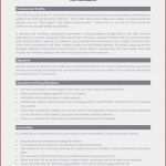 Arbeitsbescheinigung Muster Vorlage Luxus Einzigartiges Arbeitsbescheinigung Muster Kostenlos