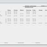 Arbeitsplan Vorlage Pdf Erstaunlich 15 Arbeitsplan Vorlage Pdf