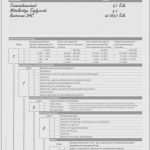 Arbeitsschutzbelehrung Vorlage Apotheke Süß Prüfprotokoll Ausgangsstoffe Apotheke Vorlage Hübsch