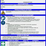 Arbeitsschutzunterweisung Vorlage Erstaunlich Betriebsanweisung Arbeitsbühne Und Gerüste sofort Download