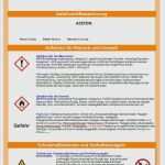 Arbeitssicherheit Schulung Vorlage Schön Großartig Betriebsanweisungen Vorlage Galerie
