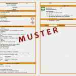 Arbeitssicherheit Unterweisung Vorlage Erstaunlich tolle Betriebsanweisungen Vorlage Fotos