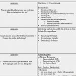 Arbeitsvertrag Freiberufler Vorlage Angenehm Ziemlich Vorlagen Für Die Dokumentation Der Physiotherapie