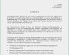Arbeitszeugnis Erstellen Vorlage Best Of Arbeitsvermittler Zeugnis Ag sofort Download