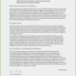 Arbeitszeugnis Führungskraft Vorlage Einzigartig 17 Lebenslauf Führungskraft Vorlage