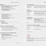 Arbeitszeugnis Führungskraft Vorlage Fabelhaft 17 Lebenslauf Führungskraft Vorlage