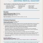 Arbeitszeugnis Hauswirtschafterin Vorlage Schönste 8 Templater Vorlagen123 Vorlagen123