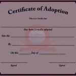 Arbeitszeugnis Hauswirtschafterin Vorlage Wunderbar 7 Schulungszertifikat Vorlage Kostenlos Vorlagen123