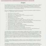 Arbeitszeugnis Koch Vorlage Angenehm 9 Arbeitszeugnis Kaufmännischer Leiter