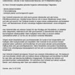 Arbeitszeugnis Koch Vorlage Fabelhaft Muster Arbeitszeugnis Sehr Gut Einzigartig Muster