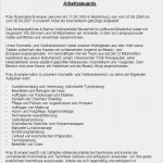 Arbeitszeugnis Koch Vorlage Schön Arbeitszeugnis Befriedigend Kosmetikerin