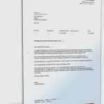 Arbeitszeugnis Kündigung In Probezeit Vorlage Hübsch 10 Arbeitszeugnis Kündigung In Probezeit Vorlage