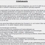 Arbeitszeugnis Servicemitarbeiter Vorlage Best Of Jetzt En Arbeitszeugnis Gut Berufskraftfahrer