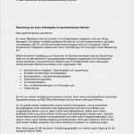 Arbeitszeugnis Steuerfachangestellte Vorlage Erstaunlich 18 Bewerbung Steuerfachangestellte Ausbildung