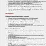 Arbeitszeugnis Steuerfachangestellte Vorlage Inspiration 12 Arbeitszeugnis Steuerfachangestellte